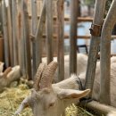 오르목장 이미지