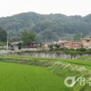 안메끼실 이미지