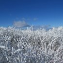 2017.1.8.태백산"(태백시)예약바랍니다 제10차 이미지