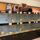 상도그 검암점 이미지