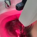 아쎄르 헤어 수내 미용실 분당 헤드스파 두피케어 후기