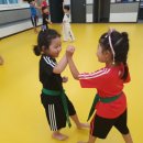 행복한 삼성태권도장 이미지