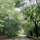 캠프메리어라운드 이미지