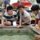 프로그램 이미지