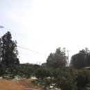 바이더힐 이미지