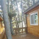 나무집 펜션 이미지