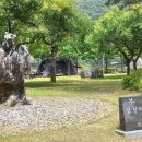 효석문학100리길 제5-1구간 이미지