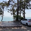 나로힐링캠핑장 이미지