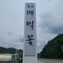 가람F.S