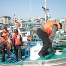 감나무 민박 이미지