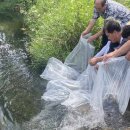 남원종자 이미지