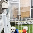 멍스플레이 이미지