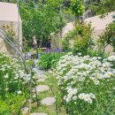 샛별펜션 이미지