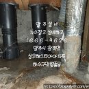 광적성우헤스티아 이미지