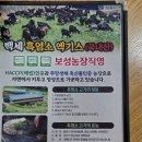 백세흑염소