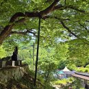 보탑사