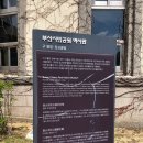 시민공원