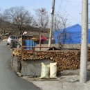 금계1천 이미지