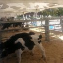 성남목장 이미지