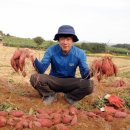 찬희농장 이미지