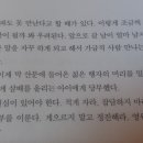 도림사[북] Daum카페