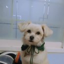 온지곤지 Daum카페