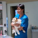 류박사 | 영화 &lt;파과&gt; (원작 소설 &lt;파과&gt;와 비교/관람 후기)