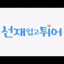 바잉바잉