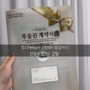 1015 | 안양시동안구 토지거래허가 신청부터 발급까지｜1015대책 이후 실제 경험 후기