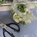 덕트남