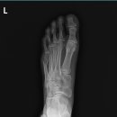 더참본정형외과의원 이미지