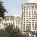 모아미래도 이미지