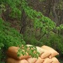 진섭농장 이미지