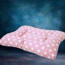 핑크퍼피 이미지