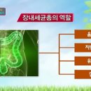위래약국 티스토리