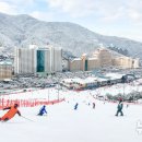 비발디파크사우나 이미지