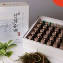 진액고와 산삼순백