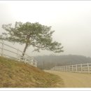 동산목장 이미지