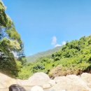 홍시와 똘마니들 이미지