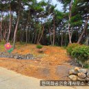 경남고성부동산 경남고성부동산토지임야매매 - 대가면 아름다운 호수전망의 토지 임야매매 17256제곱미터(5229) 이미지