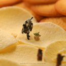 24.03_MINIATURE LIFE-MITATE MIND 전시 관람 후기