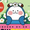 SW코딩자격2급(엔트리) 이미지