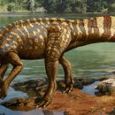 프로토케라톱스 이미지