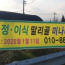 대규미나리 이미지