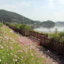 군포항일독립만세운동 이미지