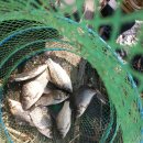 웅천 소류지 이미지