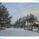 서호공원 이미지