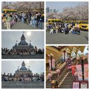 합기도 비호관 이미지