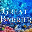 Great Barrier 4K - 차분한 음악과 함께 활기찬 산호초와 해양 생물을 탐험하는 여행 이미지