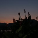 평해시장 이미지